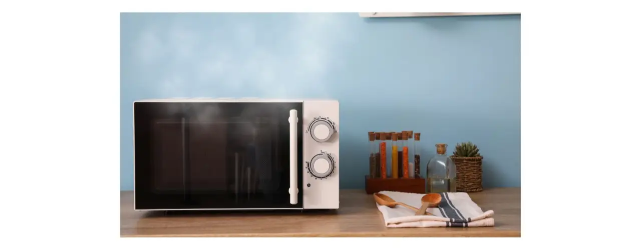 Non mettere mai queste cose nel microonde: rischi un incendio, ecco la lista