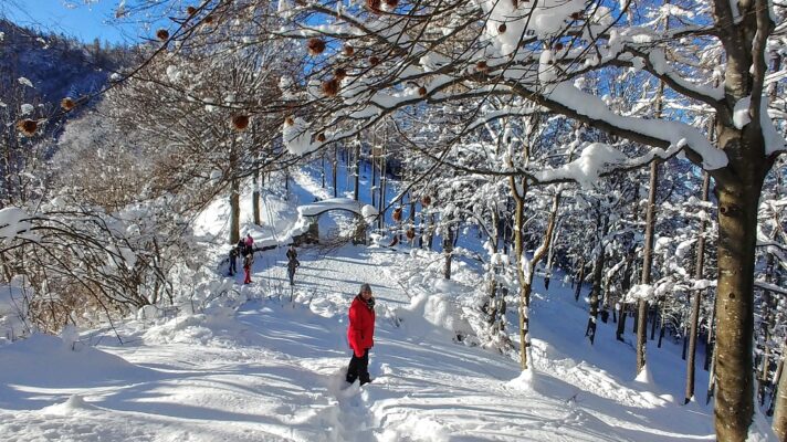 Piani dei Resinelli Parco Valentino inverno neve