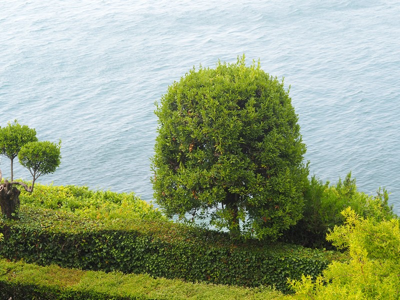 Giardini Isola del Garda