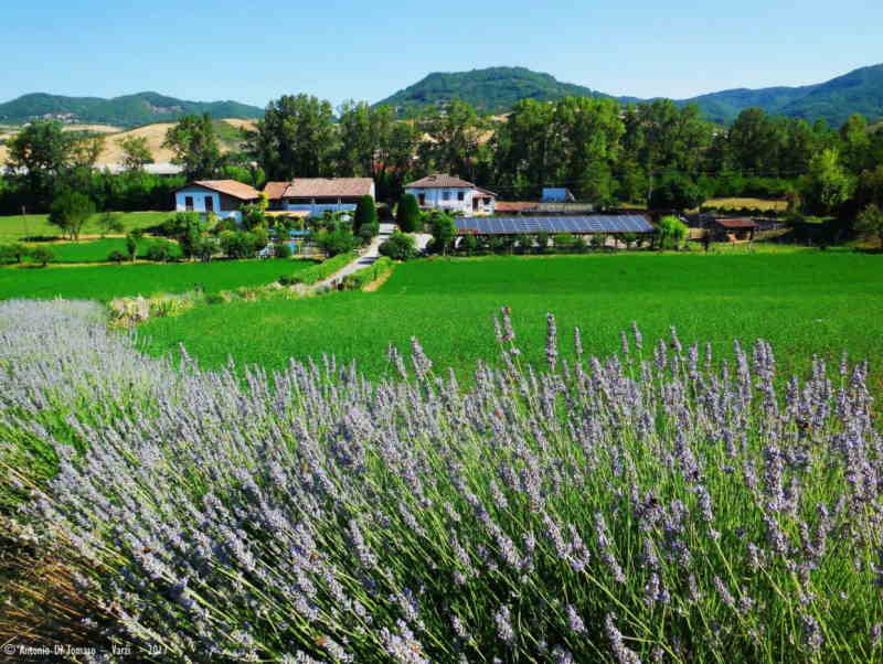 Agriturismi per bambini in Lombardia