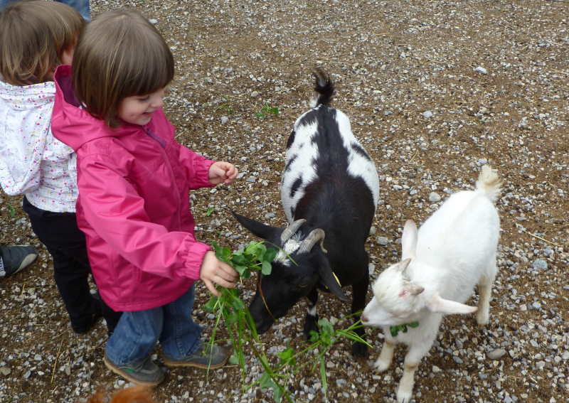 Fattoria con animali per bambini in Lombardia