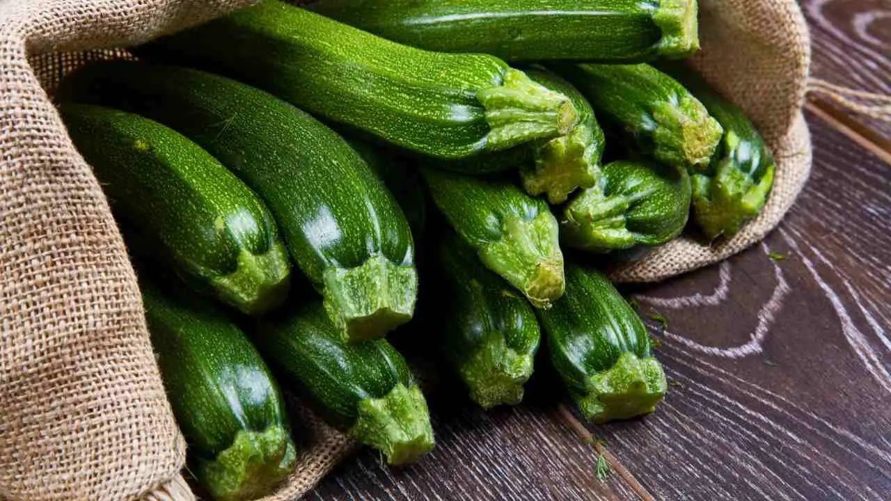 Non cucinare più le zucchine solo in padella: ecco tre ricette velocissime e saporite