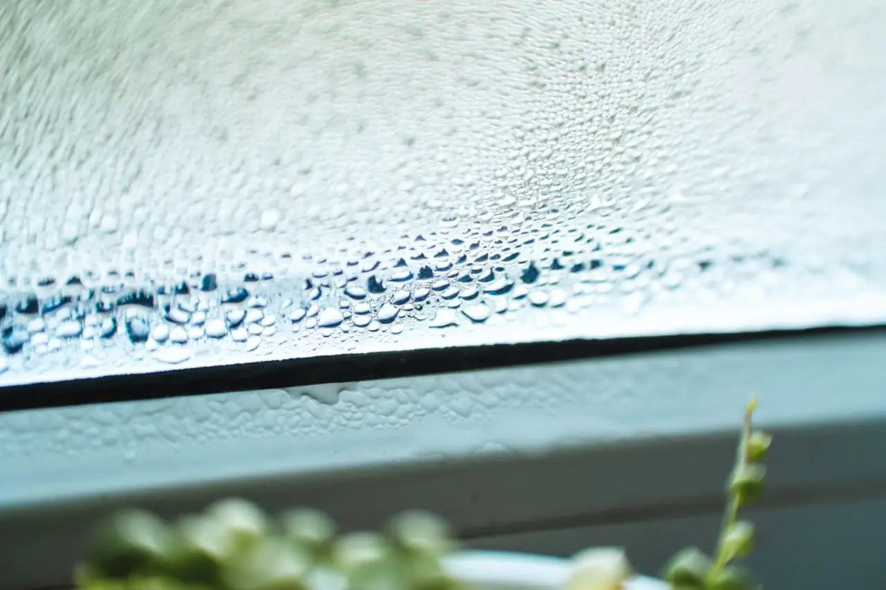 Condensa sulle finestre? Prova questo trucco naturale per vetri sempre asciutti e limpidi
