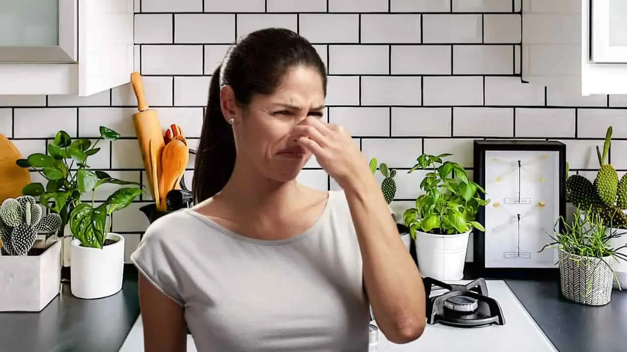 Come eliminare l’odore di fritto dalla cucina in 10 minuti