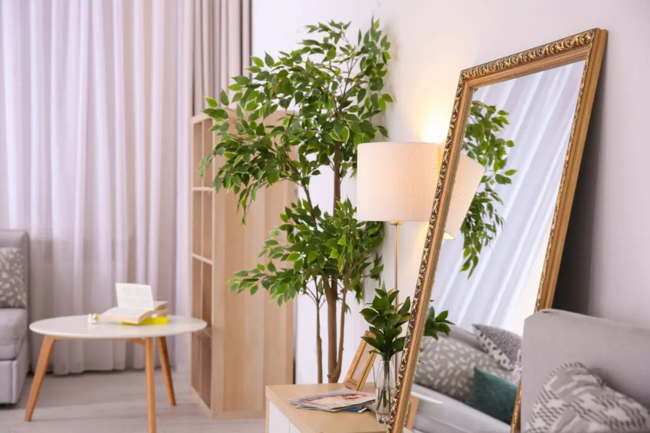 Non mettere lo specchio in questo punto: distorce la luce naturale