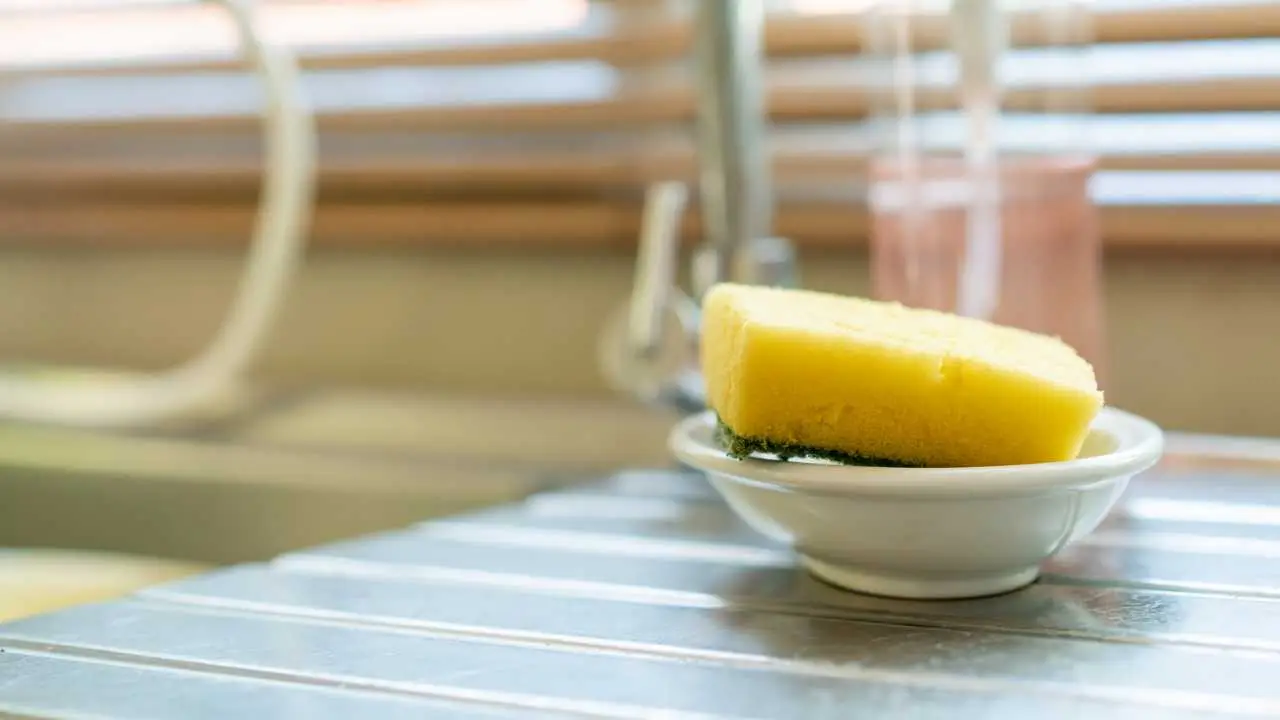 Non usare la spugna da cucina per più di una settimana: ecco cosa succede davvero